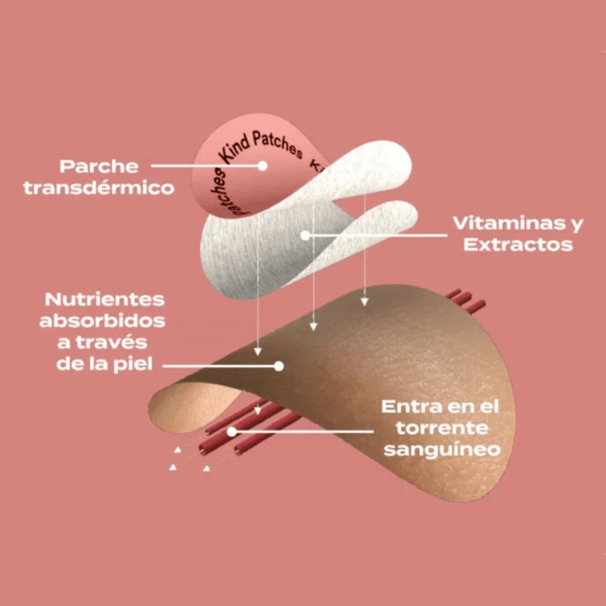 Control Patch™ – El parche que ayuda a reducir el hambre y apoya tu equilibrio